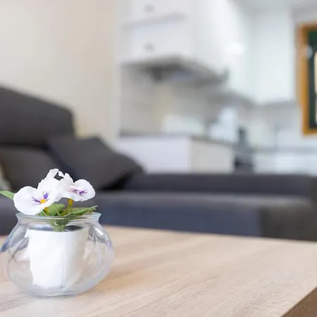 Apartamento Apartagal-costa Reinante